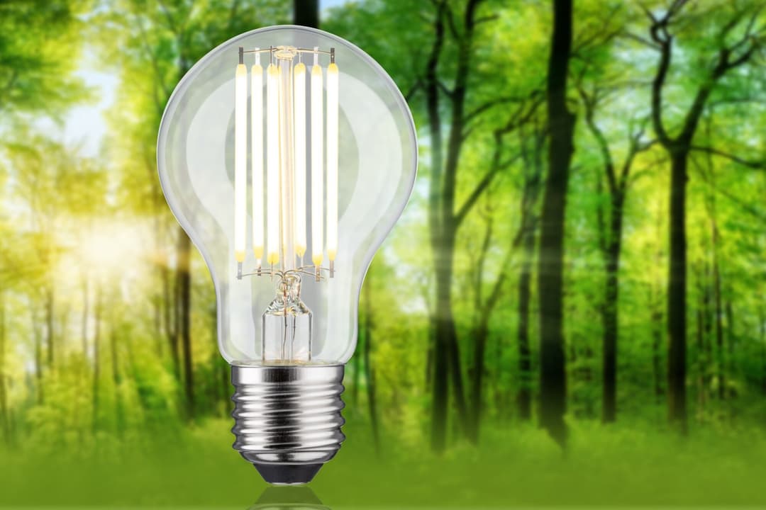 Paulmann LED-Leuchtmittel Eco-Line Filament | Transparent