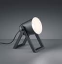 Reality Leuchten Schreibtischlampe Marc | Schwarz 2