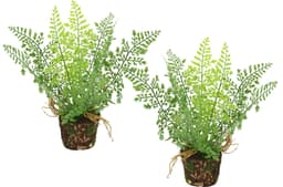 Künstlicher Waldfarn im Topf, 2er Set | Grün