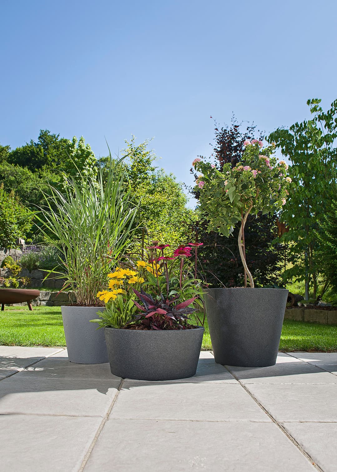 Scheurich C-CONE BOWL Blumentopf | Schwarz