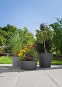 Scheurich C-CONE BOWL Blumentopf | Schwarz