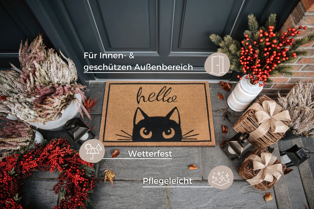 HANSE Home Fußmatte Watching Cat | Braun