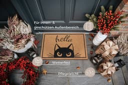 HANSE Home Fußmatte Watching Cat | Braun