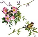 Komar Fensterbild Spring Fever | Mehrfarbig 4