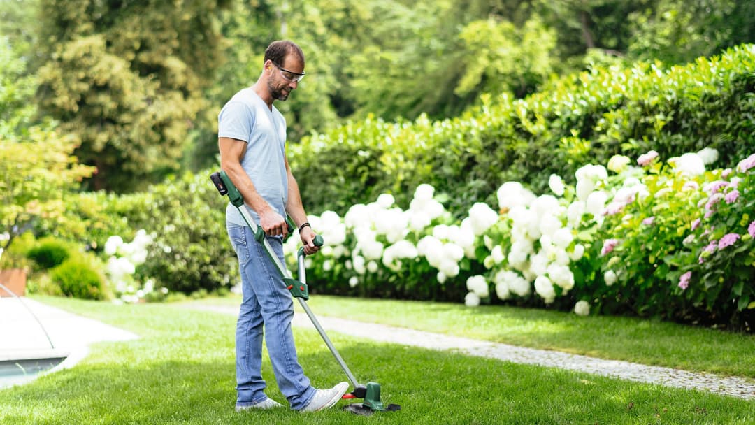 Bosch Home & Garden UniversalGrassCut 18V-260 | Grün