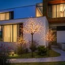 BONETTI LED Baum | Schwarz 3