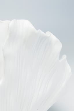 Kare Design Tischvase Ginkgo Elegance | Gold