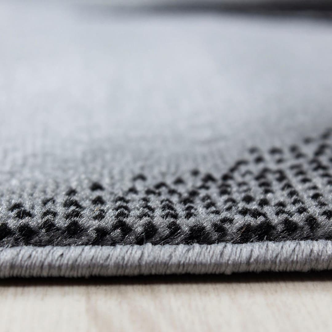 Ayyildiz Teppiche Teppich Plus 8008 | Grau