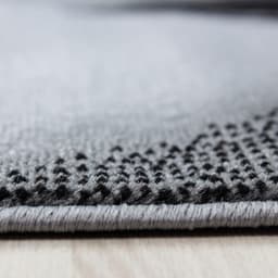 Ayyildiz Teppiche Teppich Plus 8008 | Grau