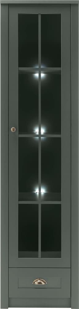 Home affaire Vitrine Ascot | Grün