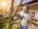 Bosch Home & Garden Akku-Multisäge EasyCut 12 | Mehrfarbig 5