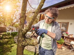 Bosch Home & Garden Akku-Multisäge EasyCut 12 | Mehrfarbig
