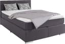 COTTA Boxspringbett Simba | Grau 3