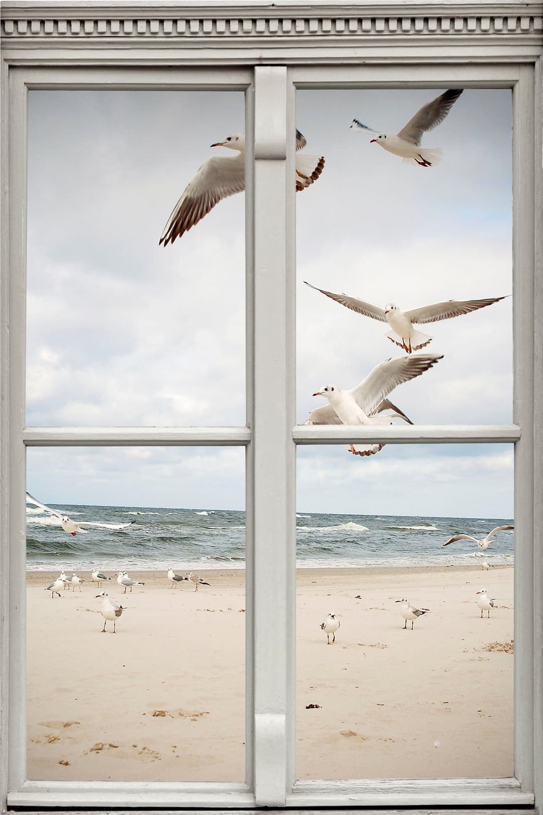 queence Wandsticker Möwen am Strand | Mehrfarbig