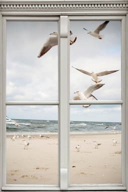 queence Wandsticker Möwen am Strand | Mehrfarbig