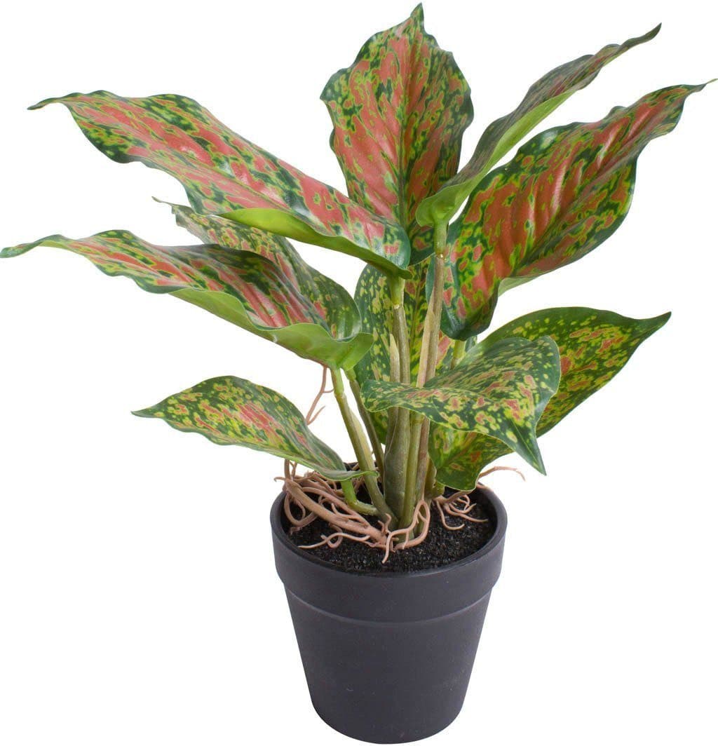 Künstliche Zimmerpflanze Caladium | Mehrfarbig