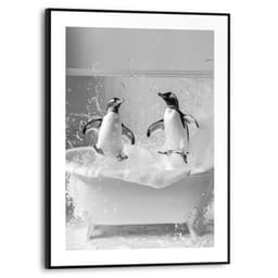 Reinders! Poster Penguin Splash | Schwarz