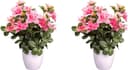 Kunstblume Azalee Mohn | Rosa