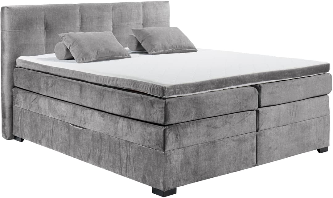 ED EXCITING DESIGN Boxspringbett Fanes | Grau