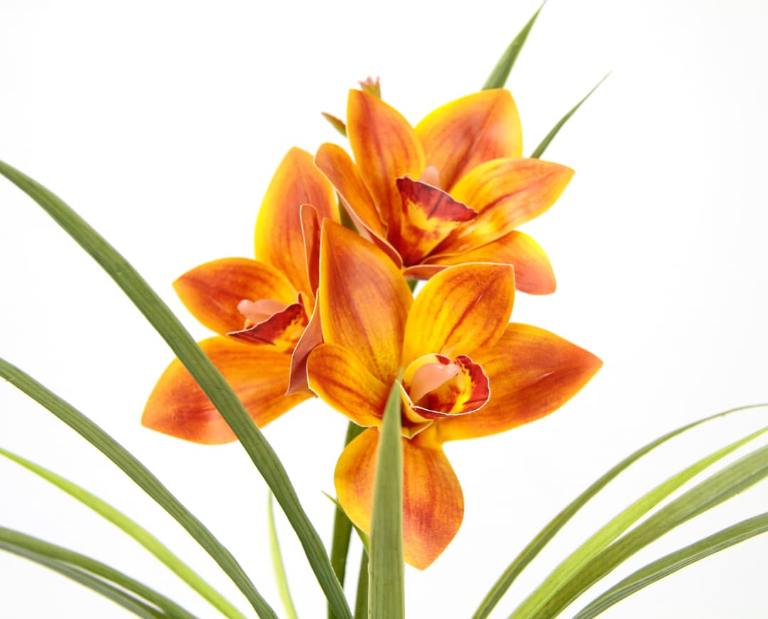 Kunstblume Orchidee | Orange