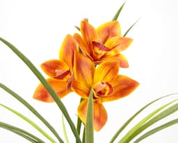 Kunstblume Orchidee | Orange