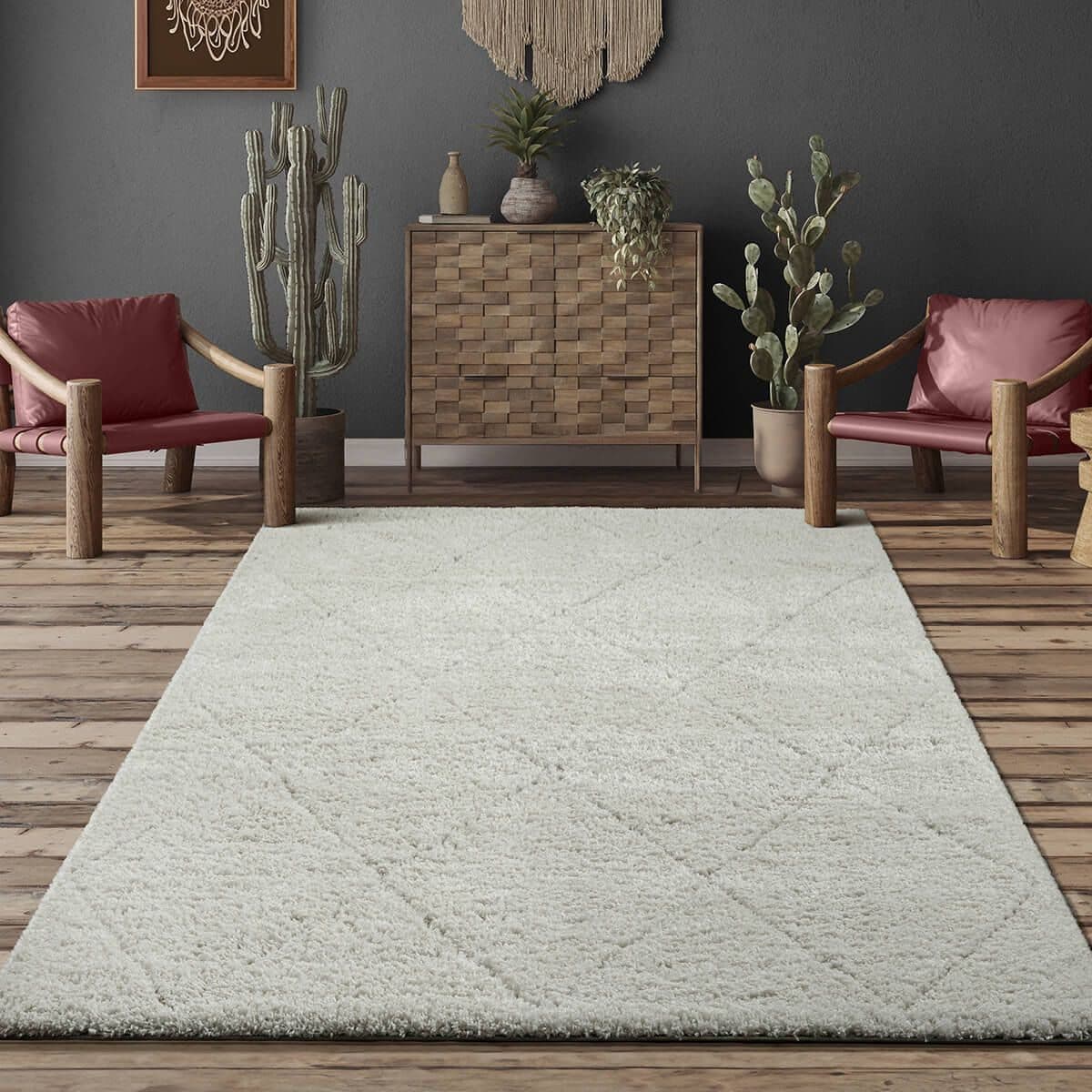 the carpet Teppich Bahar Shaggy | Beige
