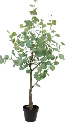Kunstbaum Eukalyptus im Topf | Grün