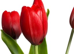 Kunstblume Tulpenbündel Holland real Touch Tulpe | Rot