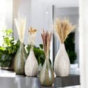 GILDE Dekoobjekt Bündel Trockenblume Seco | Beige 4
