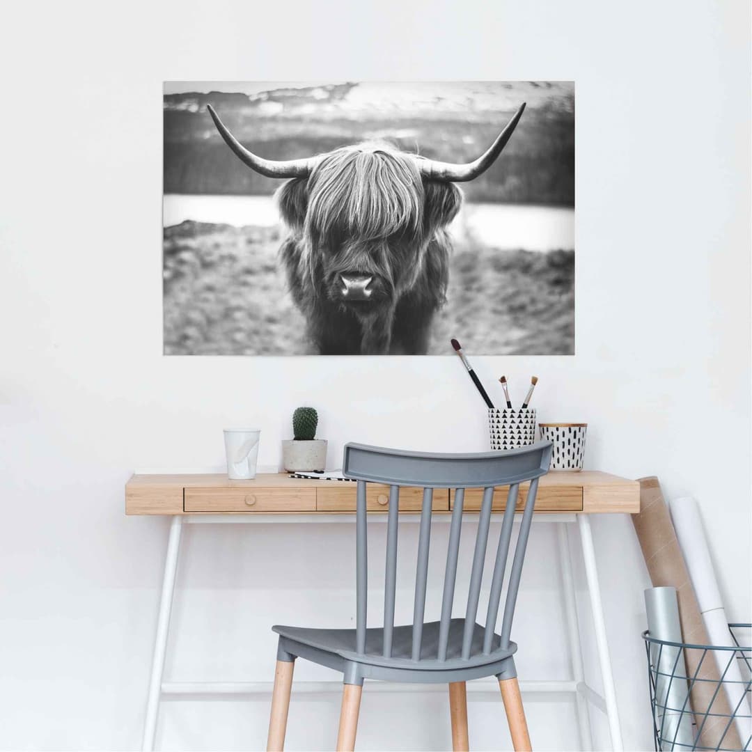 Reinders! Poster Schottische Hochlandrind | Schwarz