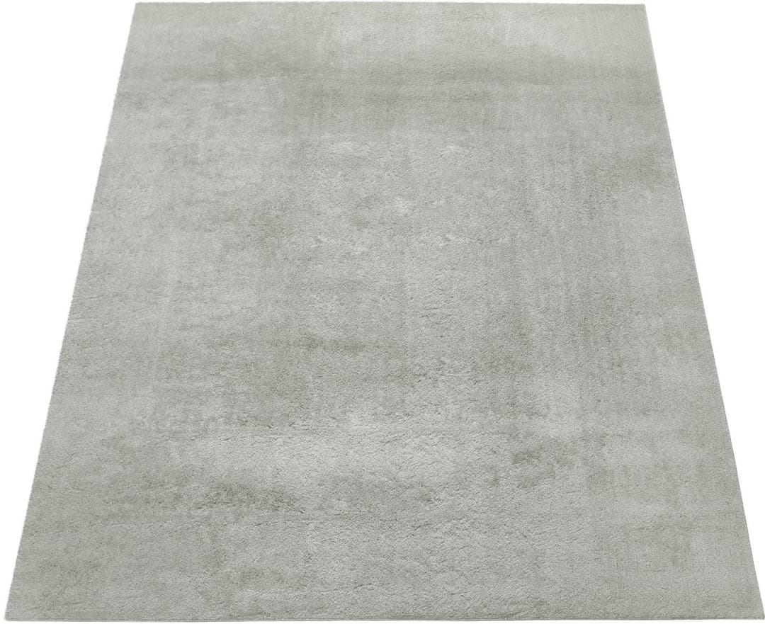 Paco Home Teppich Cadiz 630 | Grau