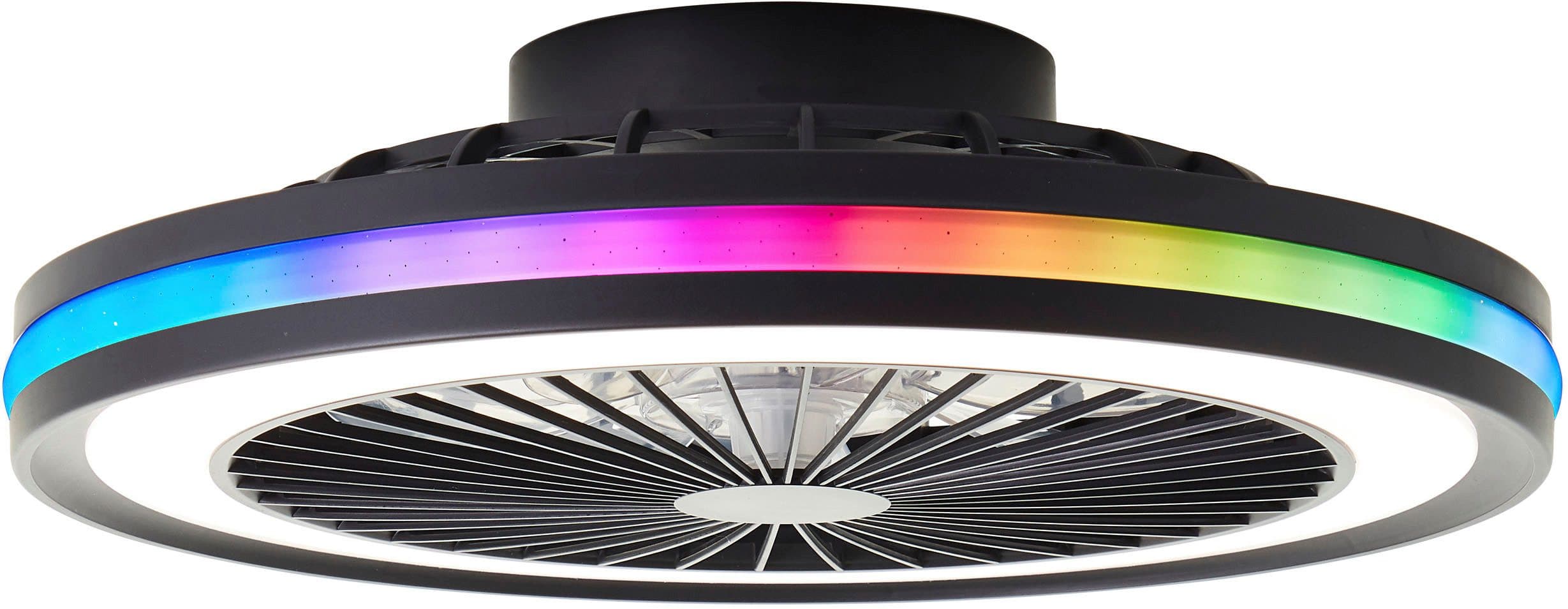 Brilliant LED Deckenleuchte Palmero | Schwarz