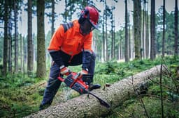 Einhell Akku-Kettensäge GP-LC 36/40 Li BL-Solo | Rot