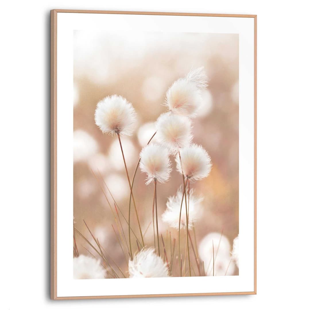 Reinders! Bild mit Rahmen Cotton Pops | Beige