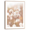 Reinders! Bild mit Rahmen Cotton Pops | Beige 2