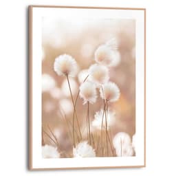 Reinders! Bild mit Rahmen Cotton Pops | Beige