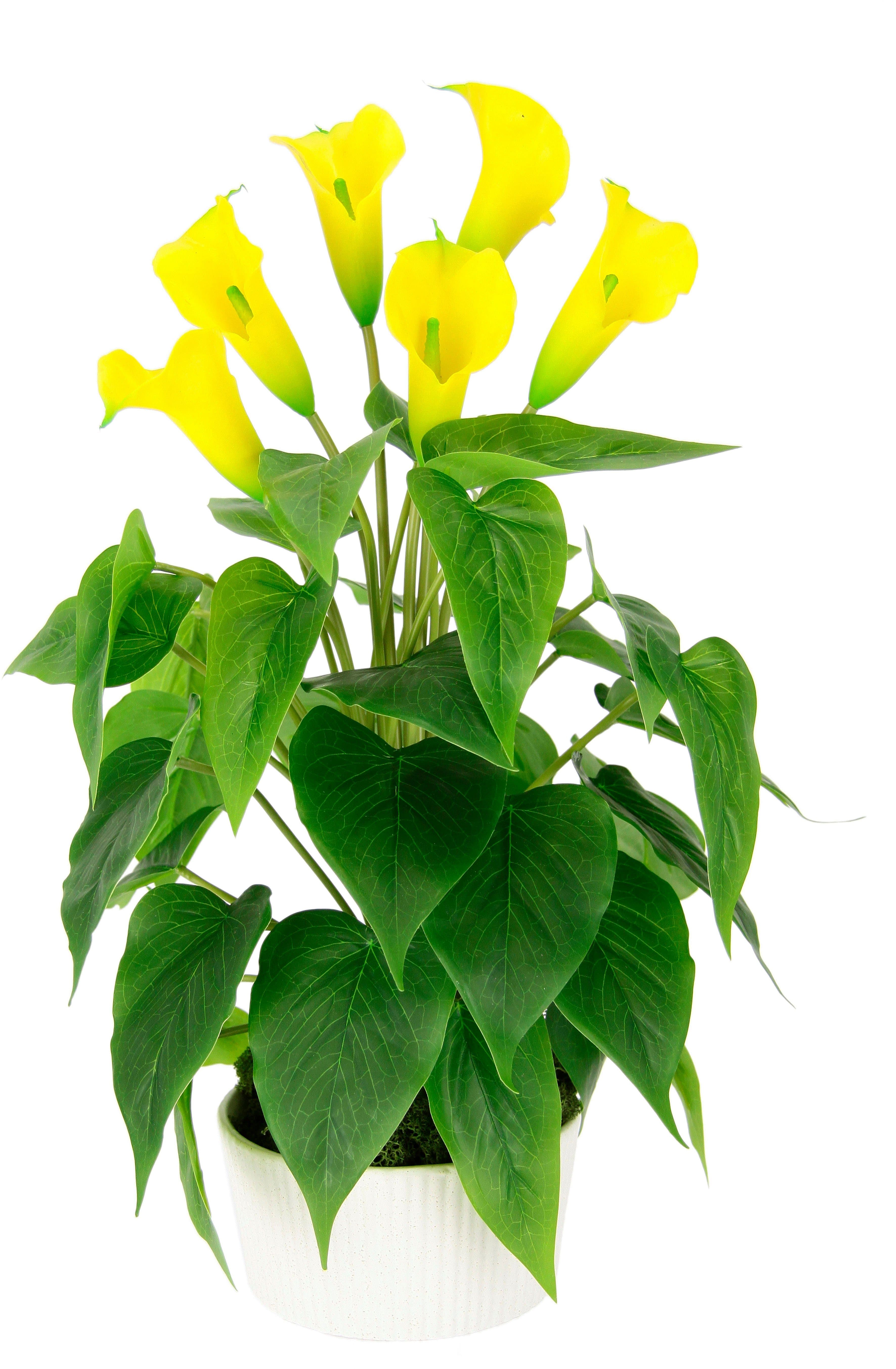 Kunstblume Calla | Gelb