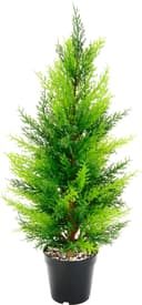 Kunstbaum Zypresse I.GE.A. | Grün