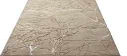 merinos Teppich Creation 50055 | Beige
