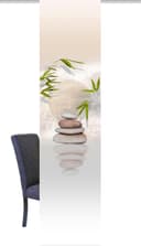 HOME WOHNIDEEN Schiebegardine BENESSA | Beige 3