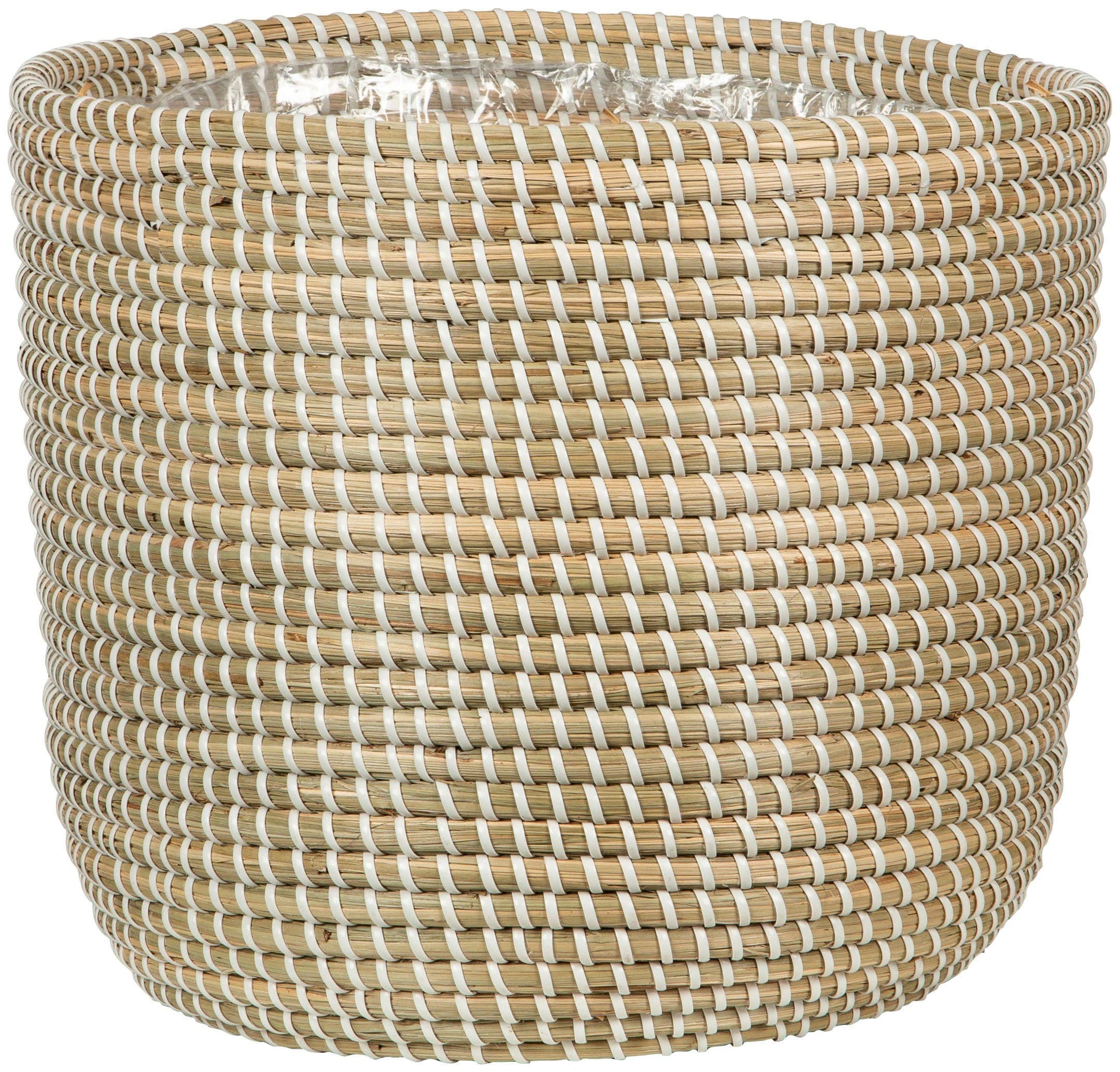Scheurich Blumentopf white 22/513 | Beige