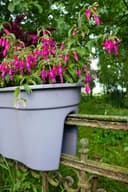 KHW Flowerclip XXL Balkonkasten | Grau 3