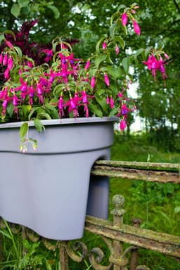 KHW Flowerclip XXL Balkonkasten | Grau