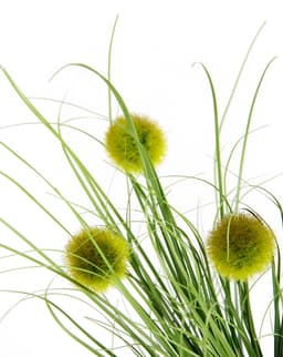 Kunstgras Künstliches Gras 'Knopfgras' | Grün