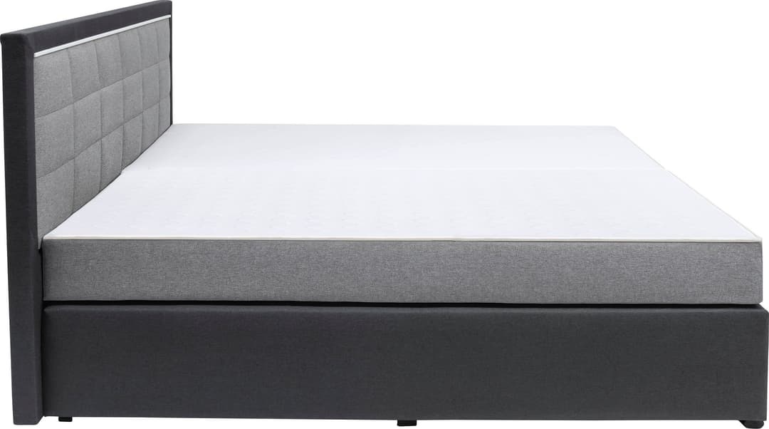 COLLECTION AB Boxspringbett Athena | Grau