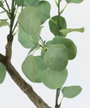 Kunstbaum Eukalyptus im Topf | Grün 2