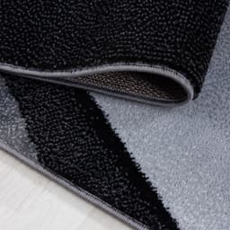 Ayyildiz Teppiche Teppich PLUS 8010 | Schwarz