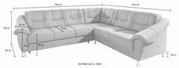 sit&more Ecksofa Salsa L-Form | Grau