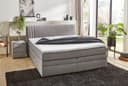 Jockenhöfer Gruppe Boxspringbett Amira | Grau
