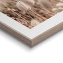 Reinders! Poster Ziergras | Beige 2